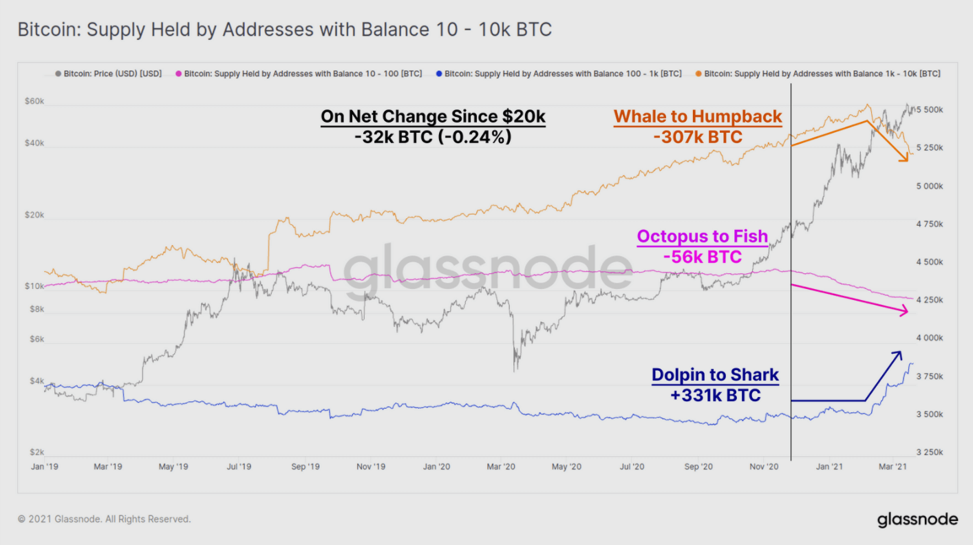 velryby a prodej bitcoinů
